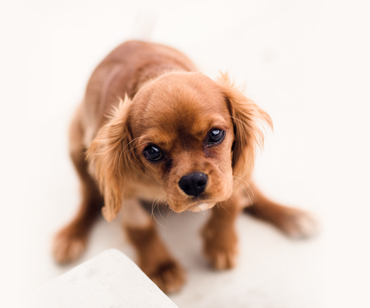 当院のポリシー