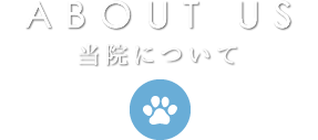 ABOUT US 当院について