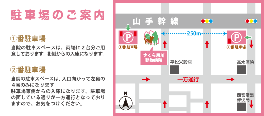 さくら夙川動物病院