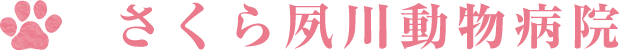 さくら夙川動物病院