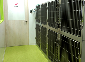 犬入院室