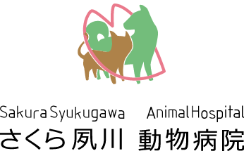 さくら夙川動物病院｜兵庫県西宮市・芦屋市・神戸市｜犬・猫｜腫瘍科・がん治療