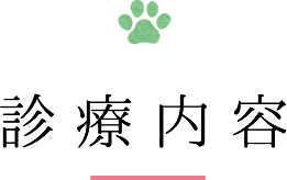 診療内容