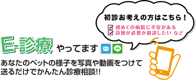 E-診察始めます　あなたのペットの様子を写真や動画をつけて送るだけでかんたん診療相談!!